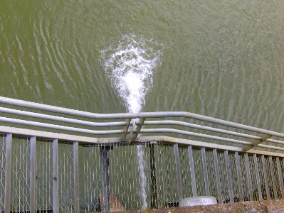 200709_0077 