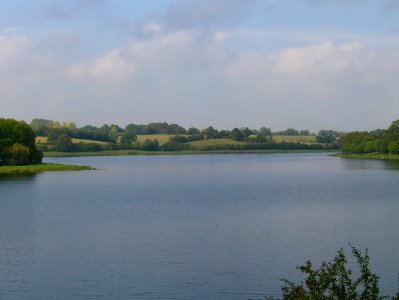 200710_0004 