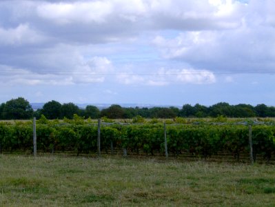 200709_0056 