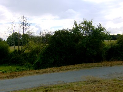 200709_0059 