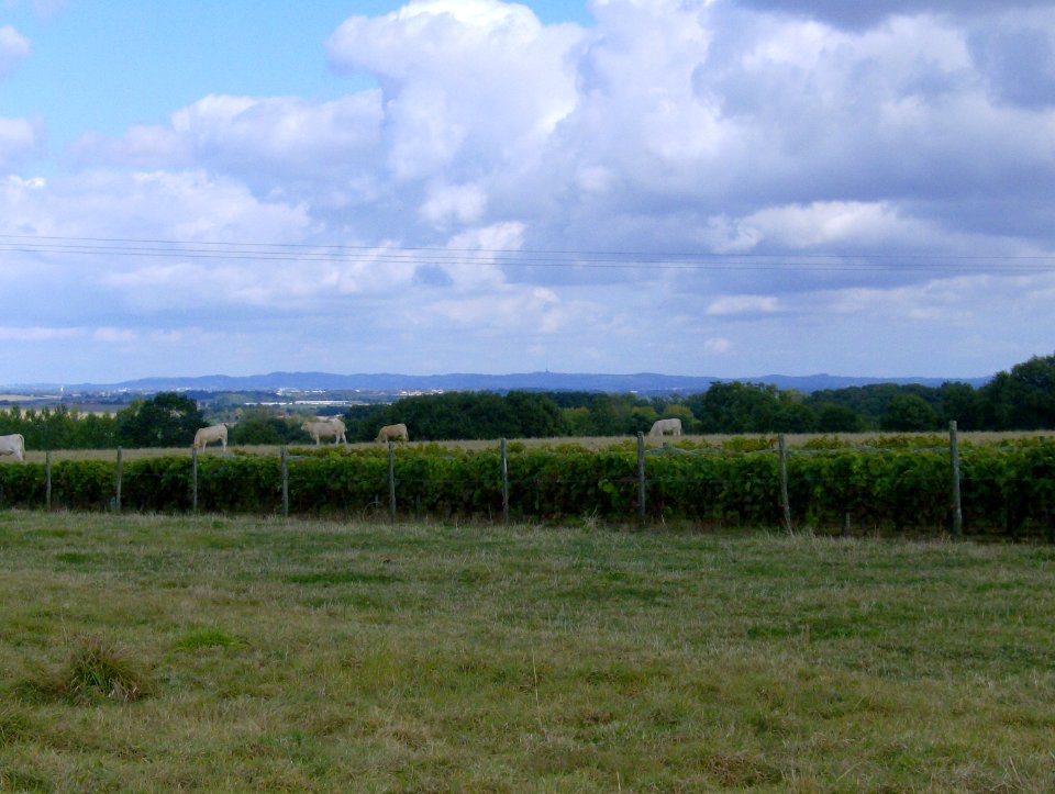 200709_0054 