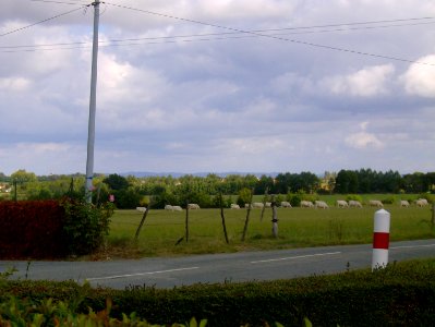 200709_0051 