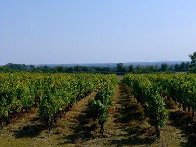 200709_0046 