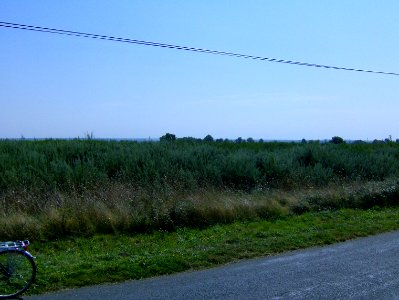 200709_0044 