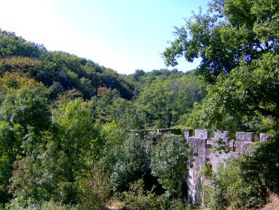 200709_0036 