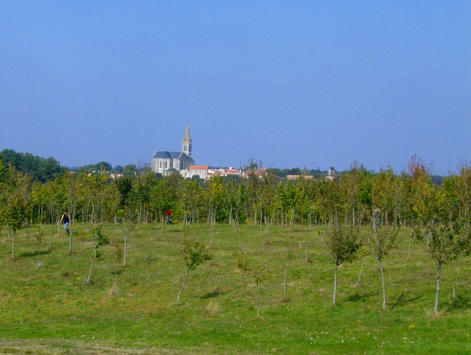 200709_0025 