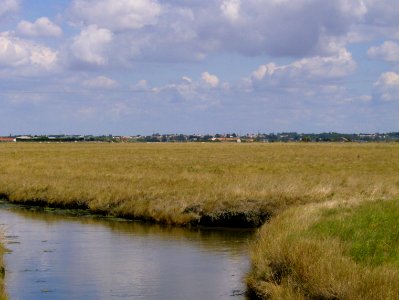 200708_0061 