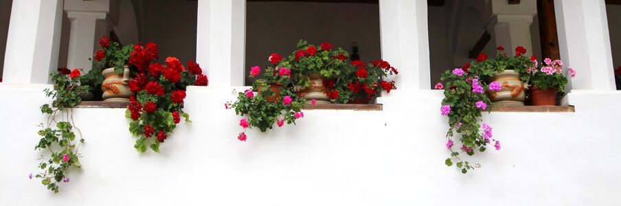 Window rustic arrangement photo