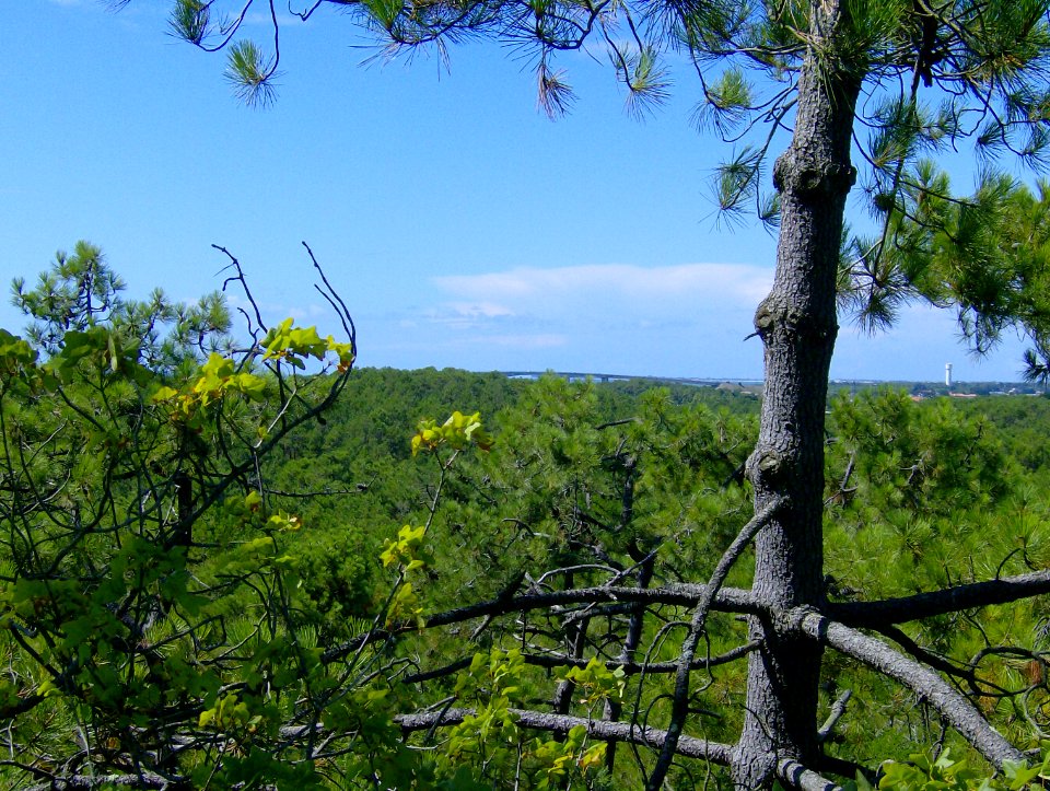 200708_0053 