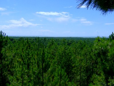 200708_0052 