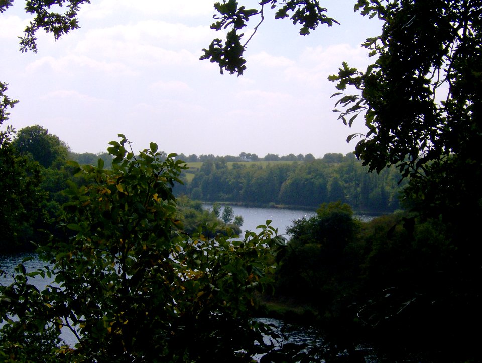200709_0019 