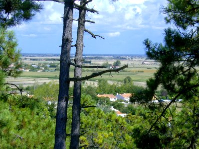 200708_0054 