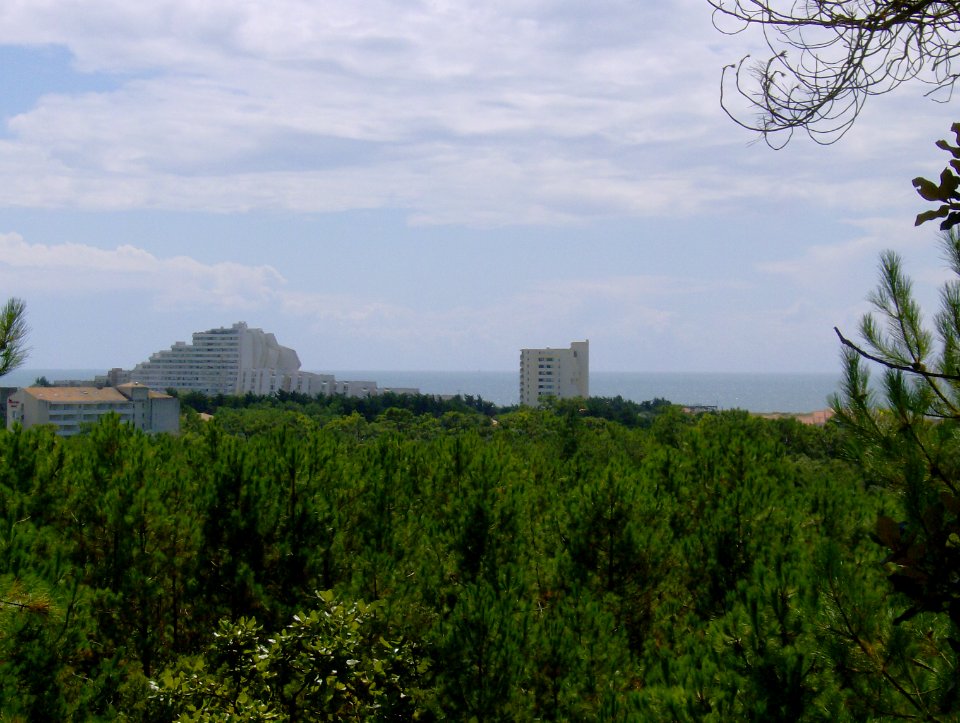 200708_0019 