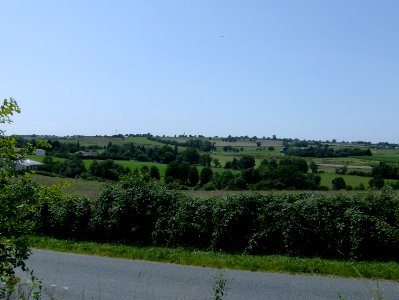 200707_0081 