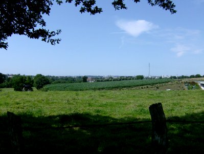 200707_0079 