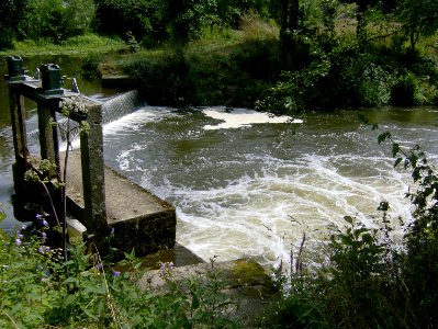 200707_0075 