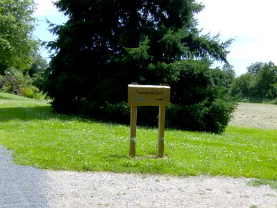 200707_0063 