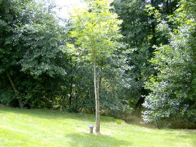 200707_0060 