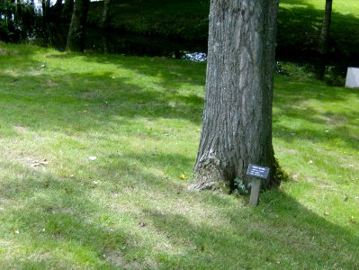 200707_0059 