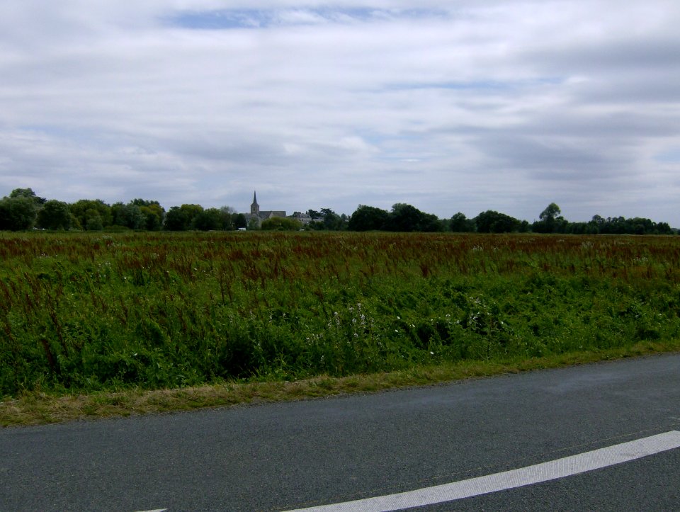 200707_0039 