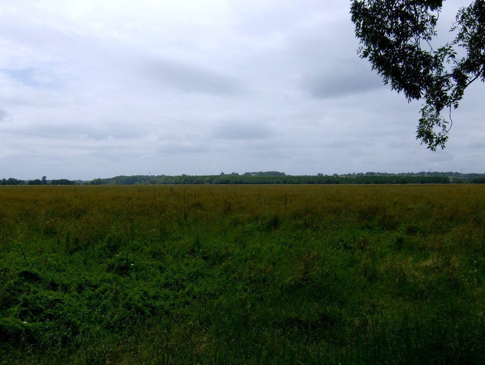 200707_0041 
