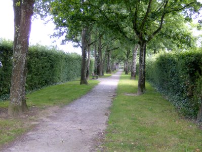 200707_0027 