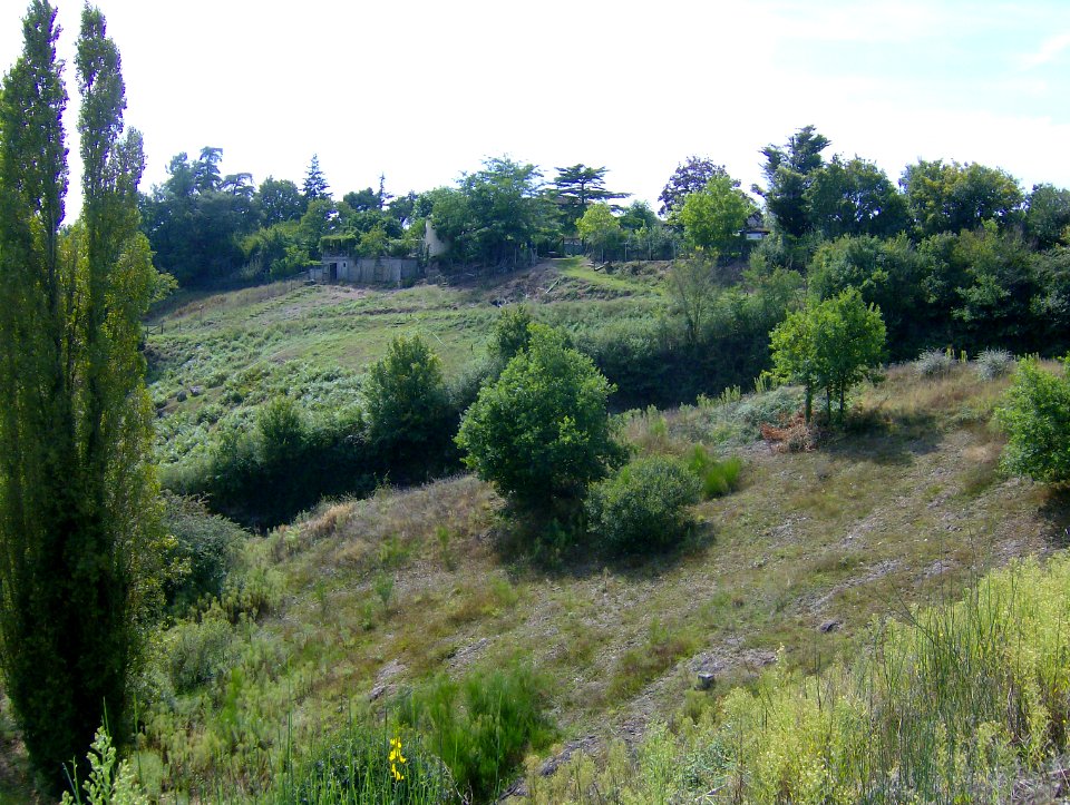 200709_0010 