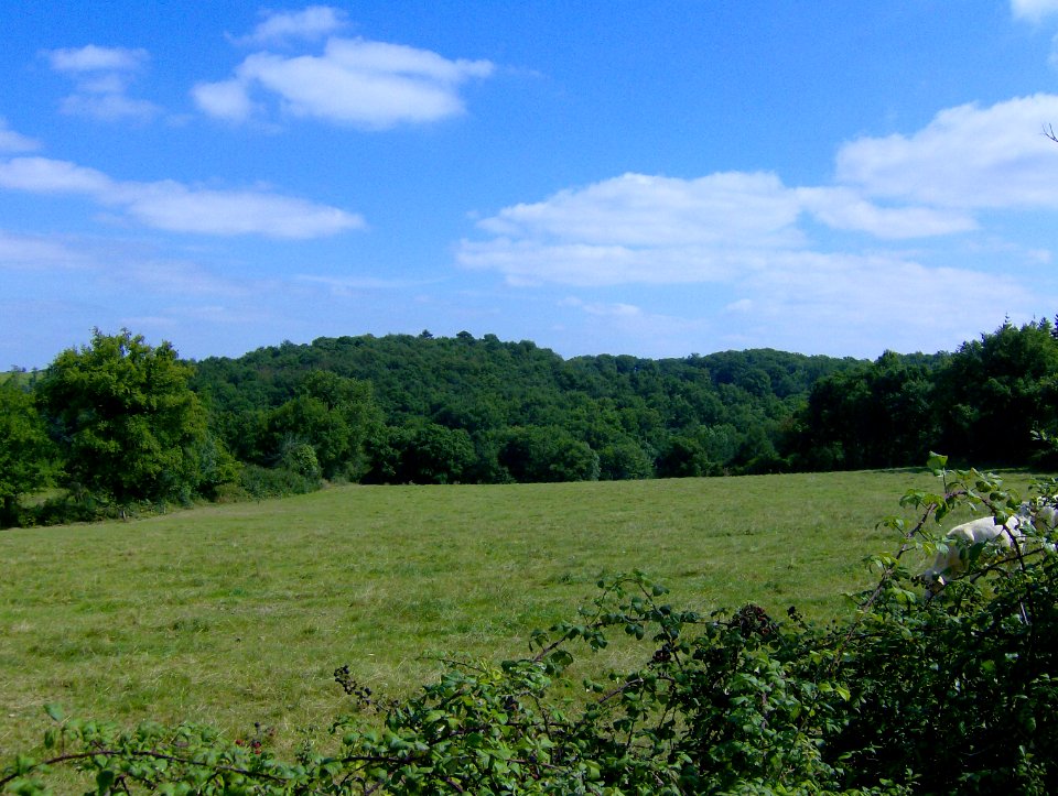 200709_0001 