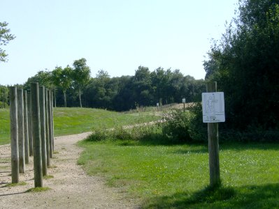 200708_0146 