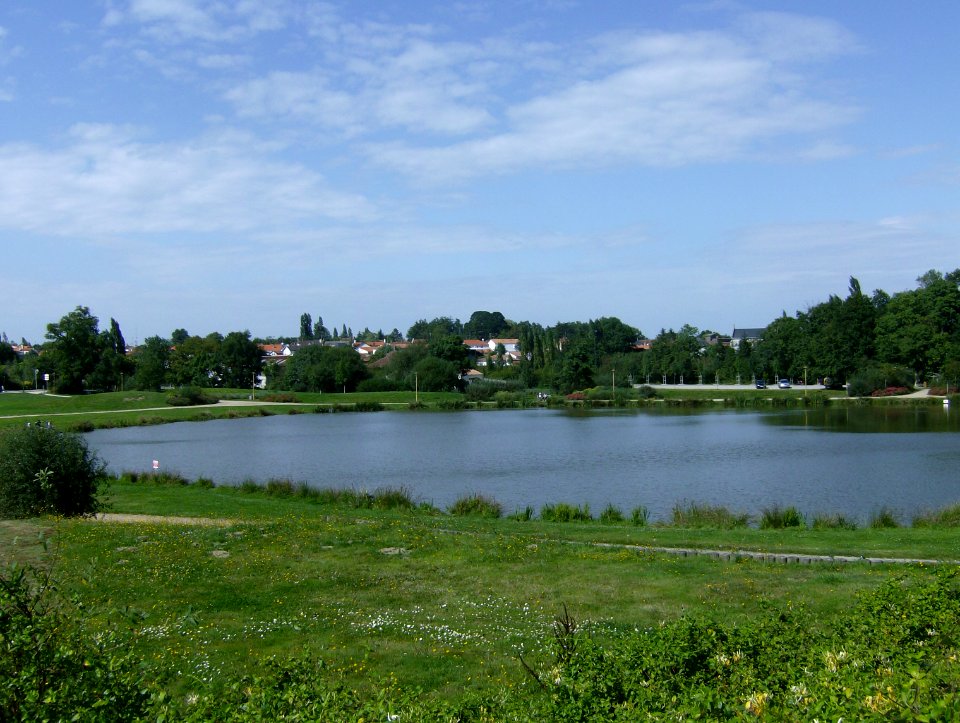 200708_0145 