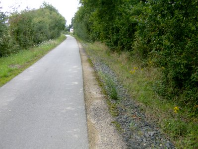 200708_0136 