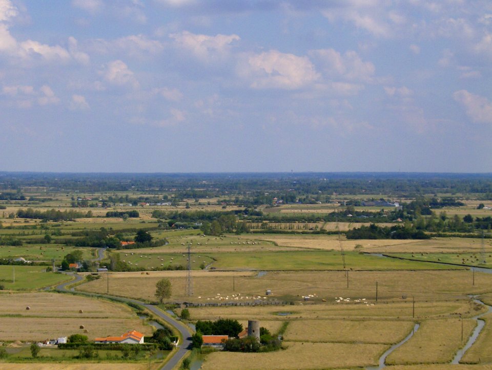 200708_0104 