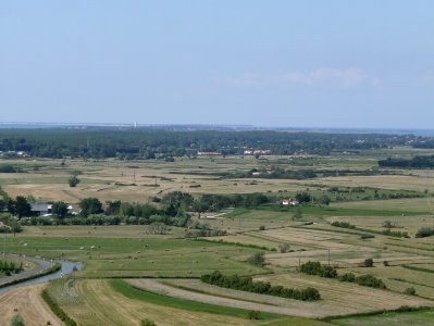 200708_0105 