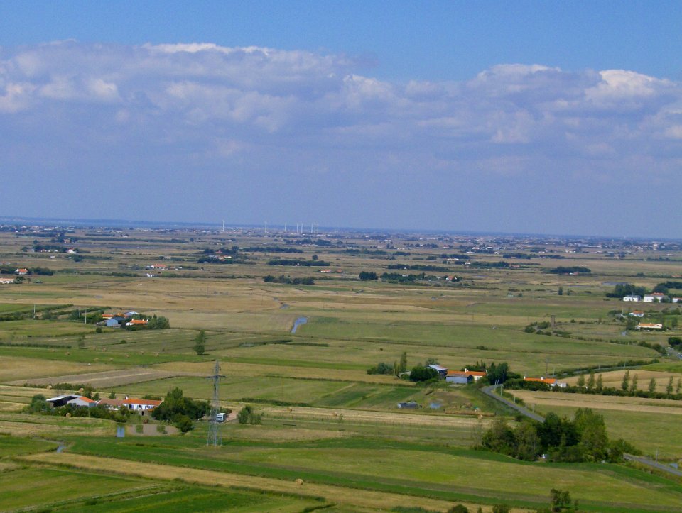 200708_0102 