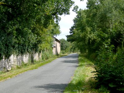 200707_0010 