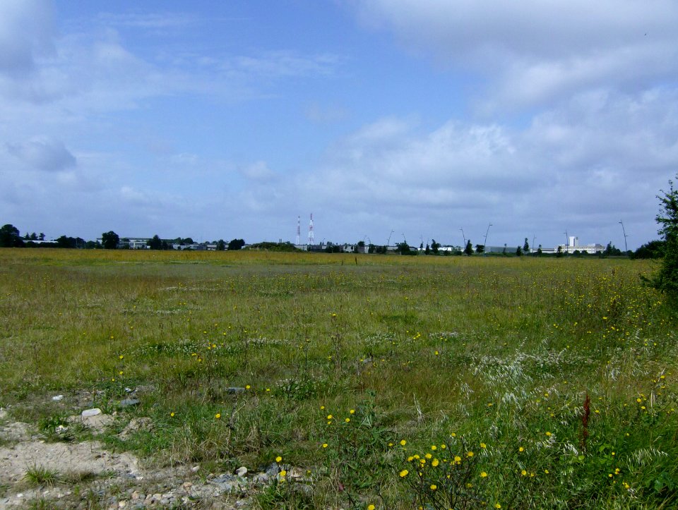 200707_0005 