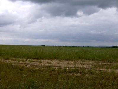 200706_0017 