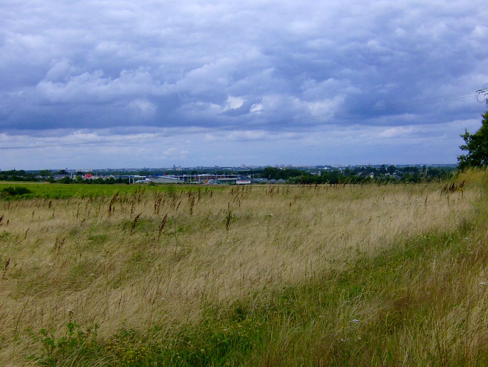 200706_0010 