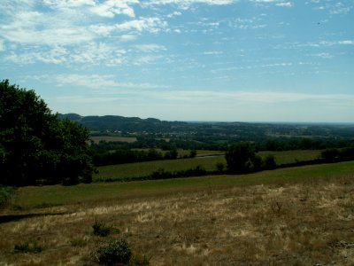 200608_0015 