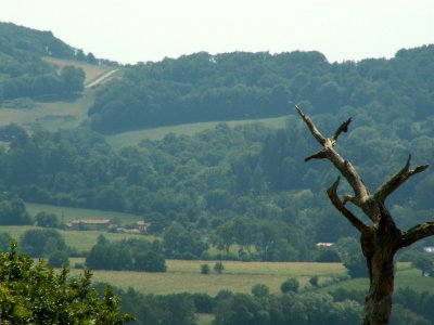 200608_0014 