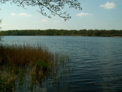 200605_0063 