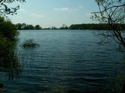 200605_0062 
