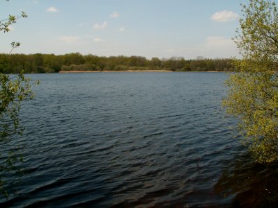 200605_0061 