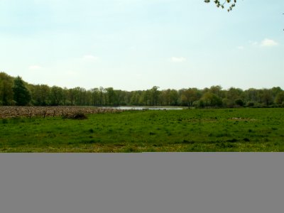 200605_0053 