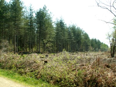 200605_0045 