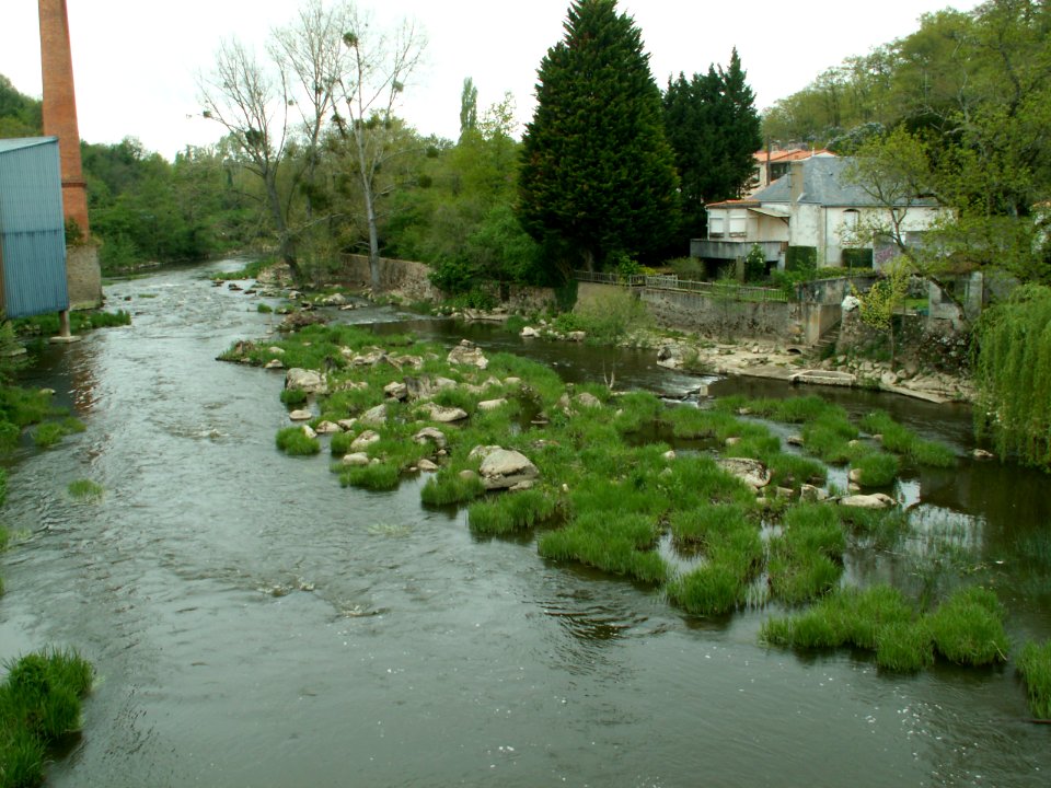 200605_0035 
