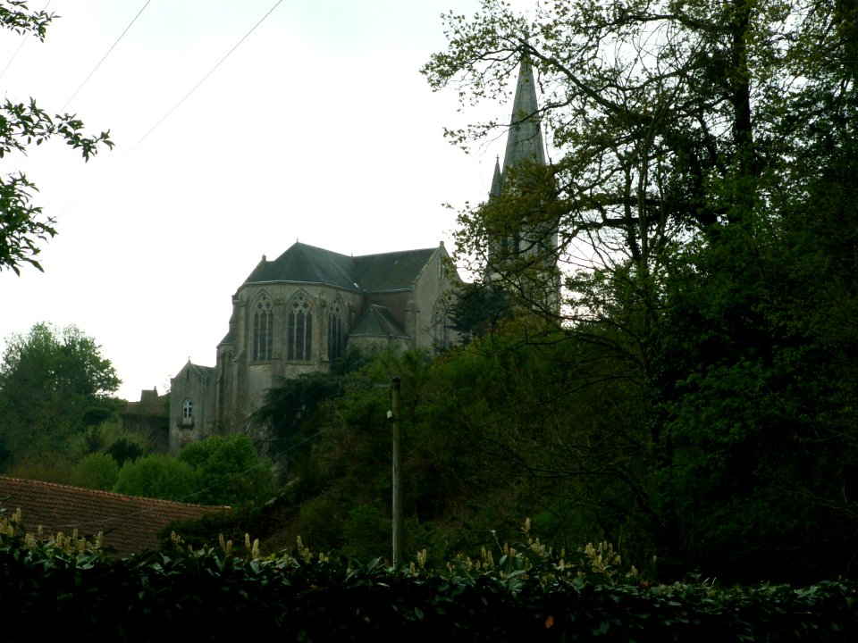 200605_0031 