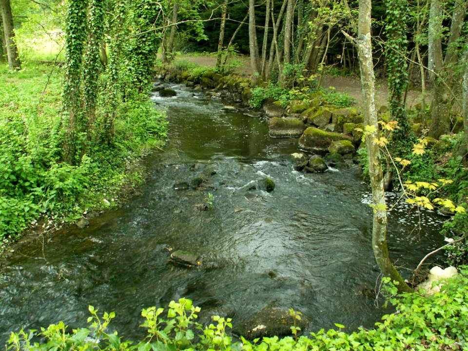 200605_0029 