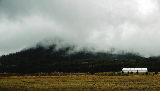 Fog landscape outdoor