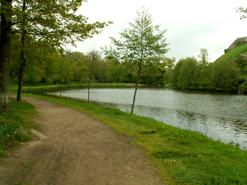 200605_0017 